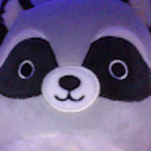 Meet your Posher, Lola